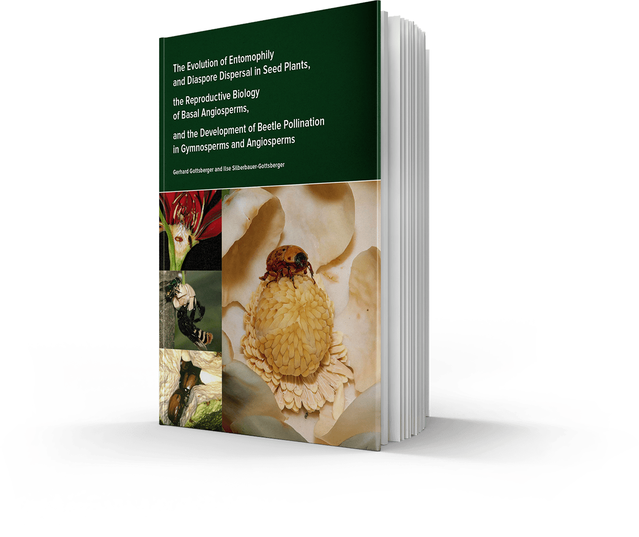 The Evolution of Entomophily and Diaspore Dispersal in Seed Plants, the Reproductive Biology of Basal Angiosperms, and the Development of Beetle Pollination in Gymnosperms and Angiosperms