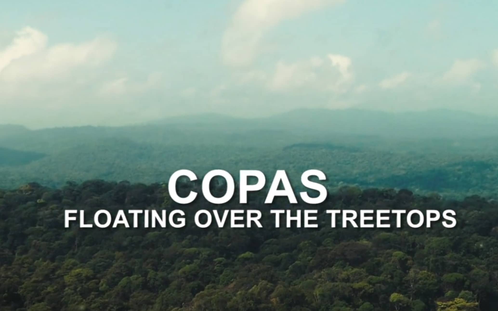 COPAS: Floating Over the Treetops